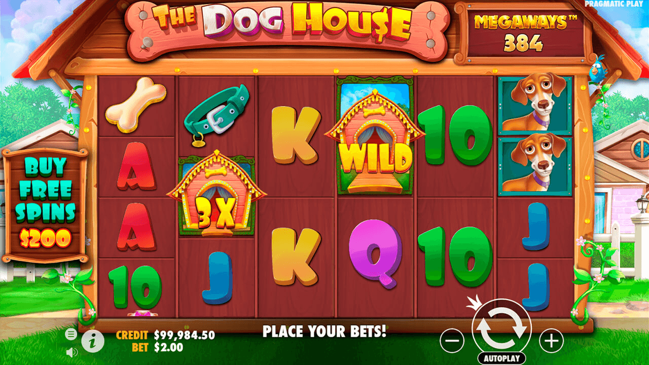 The dog house megaways