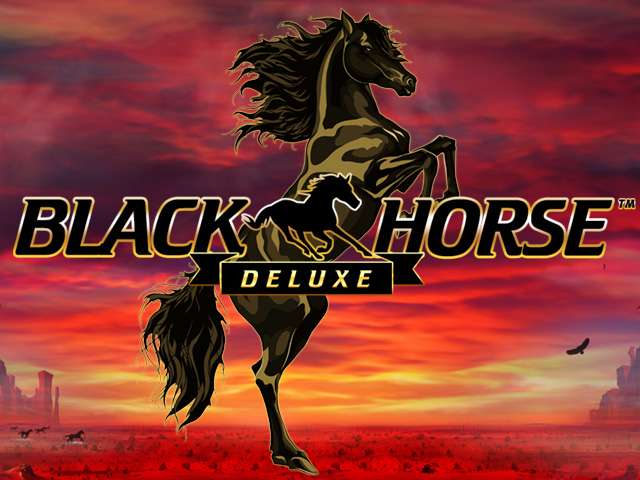 black horse deluxe gra hazardowa