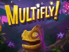 multifly! logo